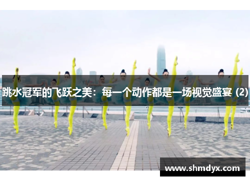 跳水冠军的飞跃之美：每一个动作都是一场视觉盛宴 (2)