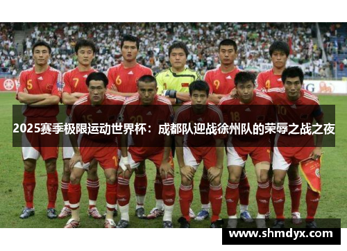 2025赛季极限运动世界杯：成都队迎战徐州队的荣辱之战之夜