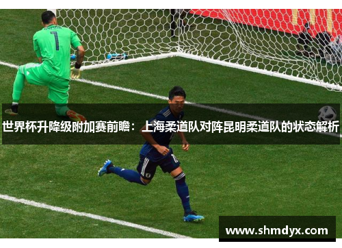 世界杯升降级附加赛前瞻：上海柔道队对阵昆明柔道队的状态解析