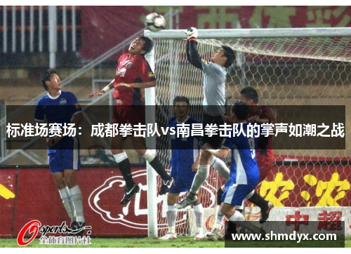 标准场赛场：成都拳击队vs南昌拳击队的掌声如潮之战